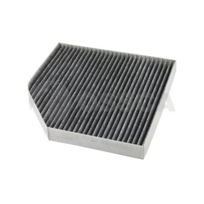 Air Filter (19405)