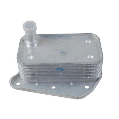 Oil Cooler, engine oil (39404)