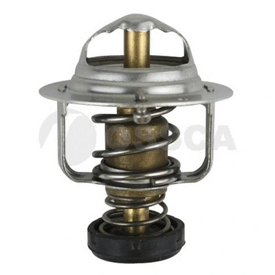 Thermostat, coolant (10566)