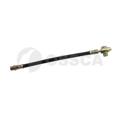 Brake Hose (21079)