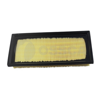 Air Filter (43085)