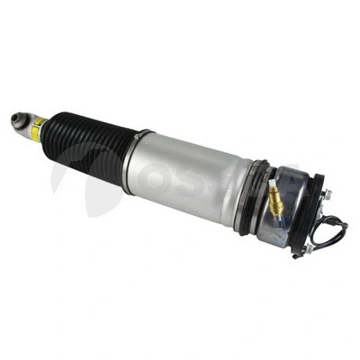 Air Suspension Strut (24315)