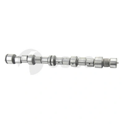 Camshaft (40744)