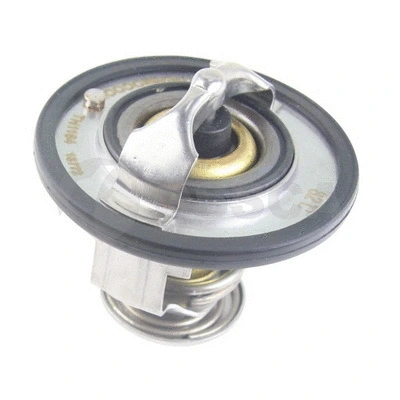 Thermostat, coolant (21582)