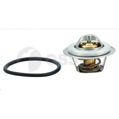 Thermostat, coolant (16483)