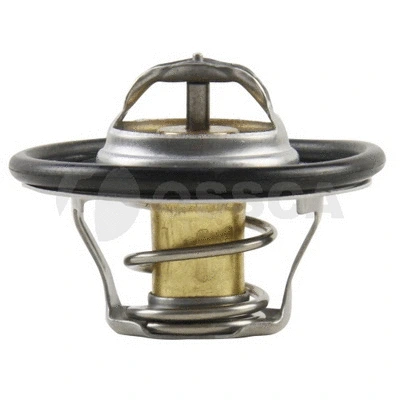 Thermostat, coolant (21159)