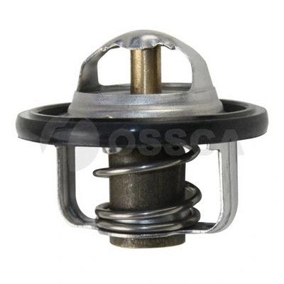 Thermostat, coolant (09540)