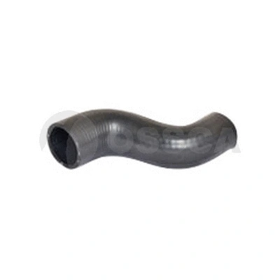 Radiator Hose (28784)
