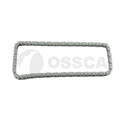 Timing Chain (76573)