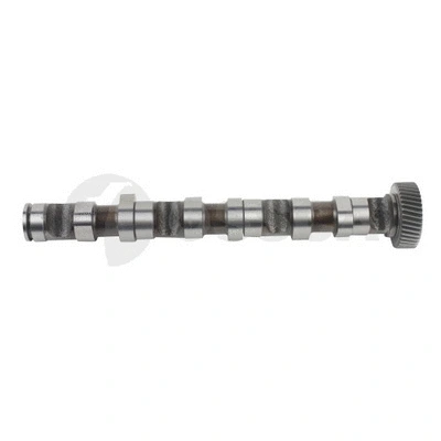 Camshaft (22089)