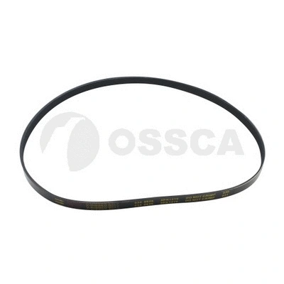 V-Belt (04696)