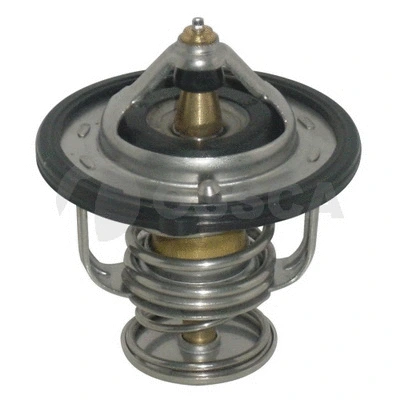 Thermostat, coolant (01165)