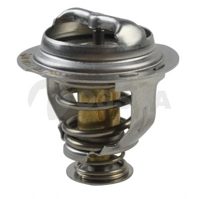 Thermostat, coolant (12732)