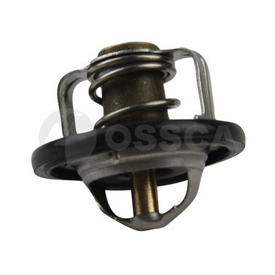 Thermostat, coolant (16539)