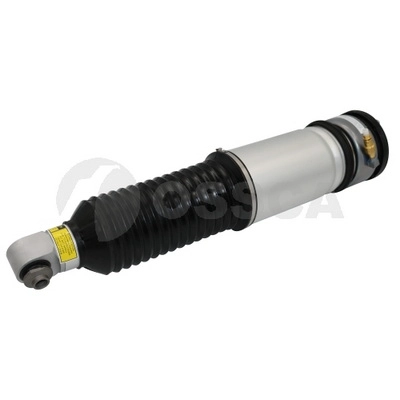 Air Suspension Strut (24316)