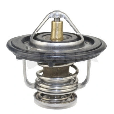 Thermostat, coolant (10572)