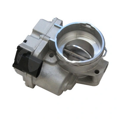 Throttle Body (33043)