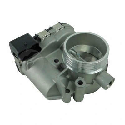 Throttle Body (12340)