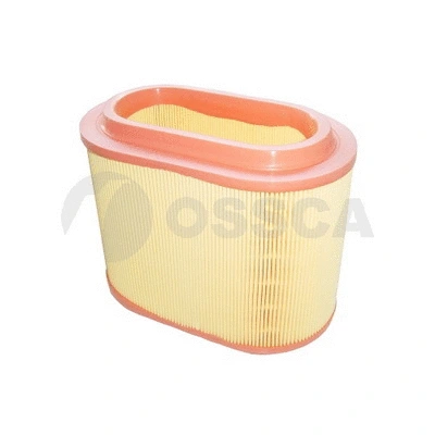 Air Filter (10223)