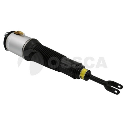 Air Suspension Strut (25743)