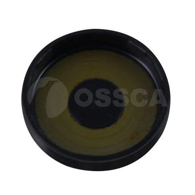 Cap (66844)