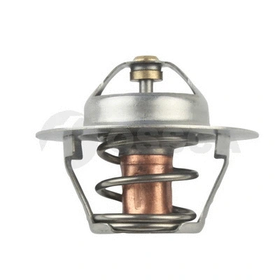 Thermostat, coolant (42491)