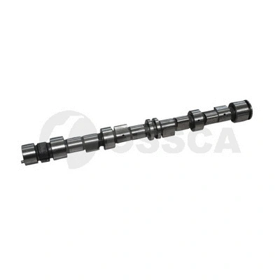 Camshaft (04833)