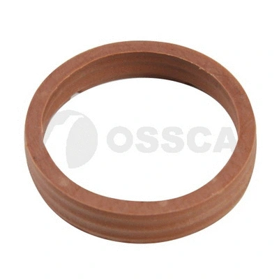 Hydraulic Filter Kit, automatic transmission (08716)