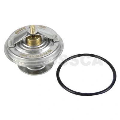 Thermostat, coolant (33069)