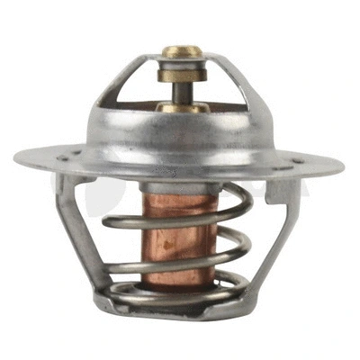 Thermostat, coolant (20301)