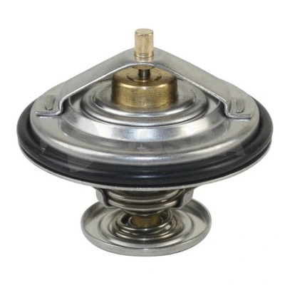 Thermostat, coolant (02931)
