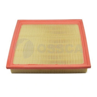 Air Filter (12629)