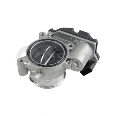 Throttle Body (50717)