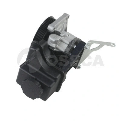 Hydraulic Pump, steering (27495)