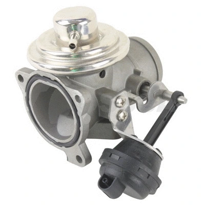 EGR Valve (19896)