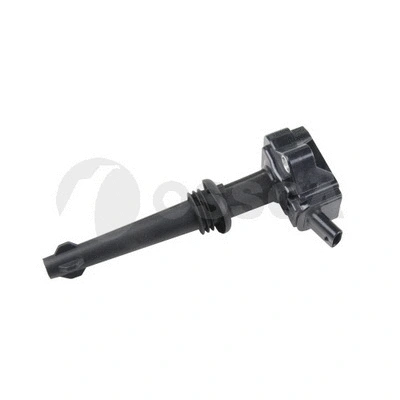 Ignition Coil (36101)