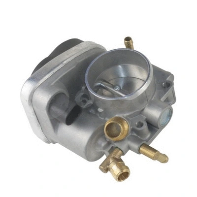 Throttle Body (18447)