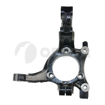 Steering Knuckle, wheel suspension (13668)
