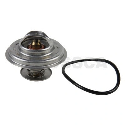 Thermostat, coolant (13520)