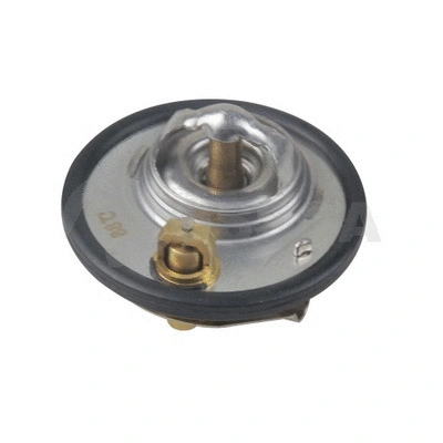 Thermostat, coolant (61193)
