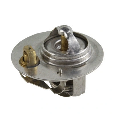 Thermostat, coolant (28831)