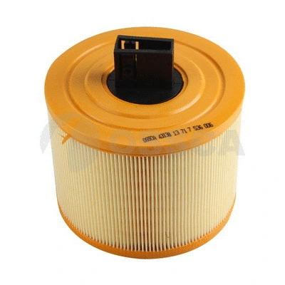 Air Filter (43138)
