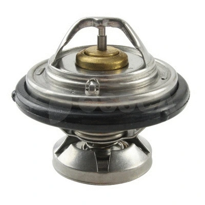 Thermostat, coolant (01391)