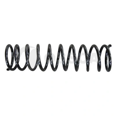 Suspension Spring (06900)