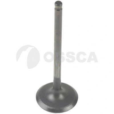 Intake Valve (25528)