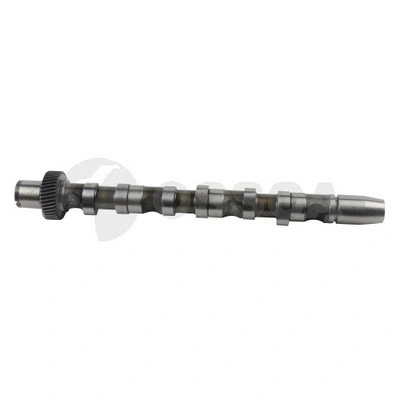 Camshaft (22087)
