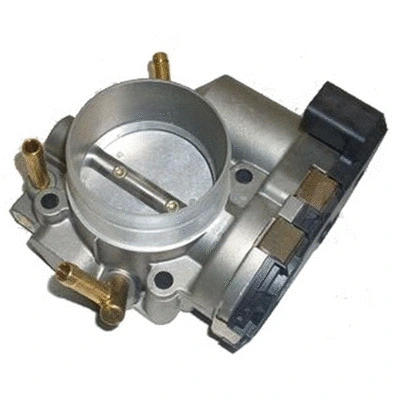Throttle Body (14251)
