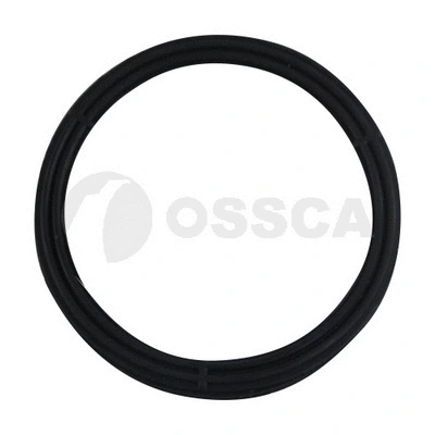 Oil Seal, manual transmission (46872)