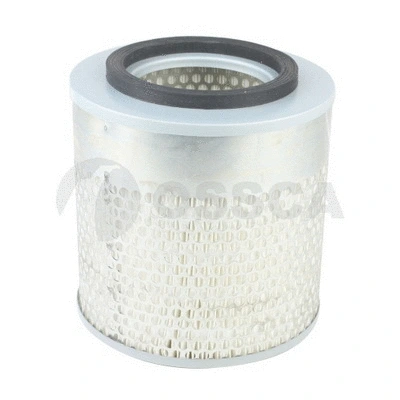 Air Filter (25224)