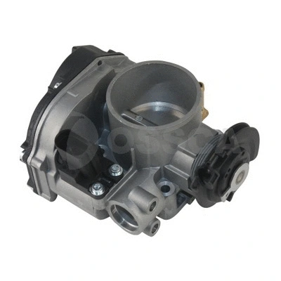 Throttle Body (08562)